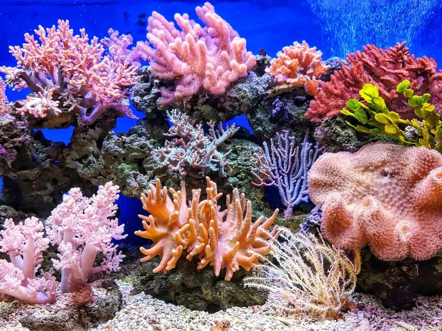 SEA LIFE Costa del Sol